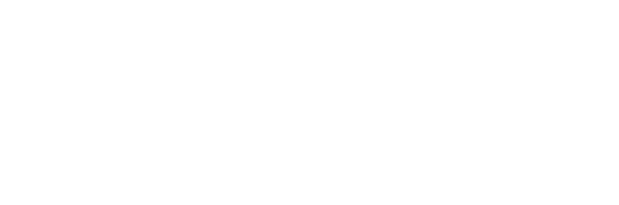 Treasury & Continuity Advisory System